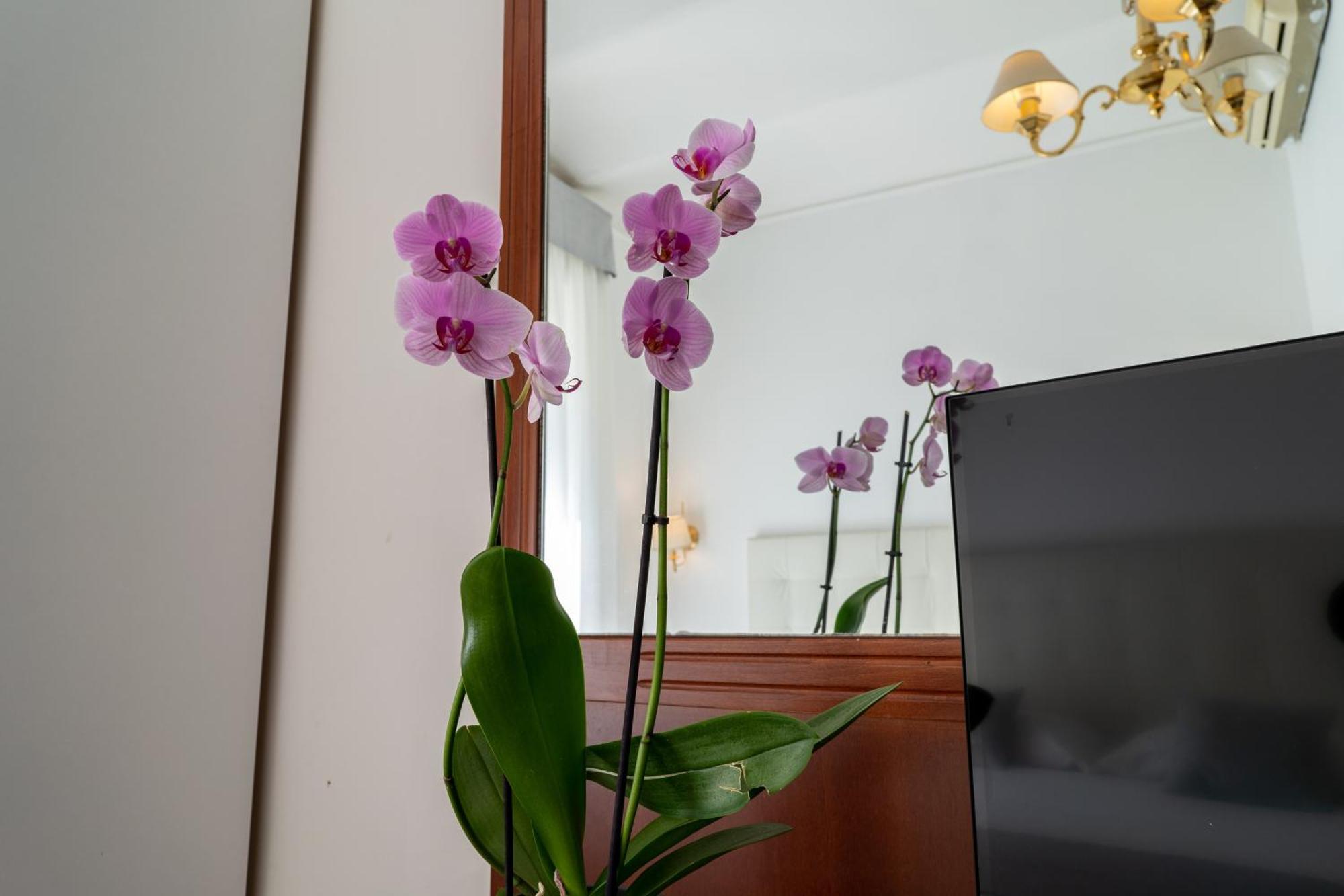 Hotel Gabriella Ρώμη Εξωτερικό φωτογραφία